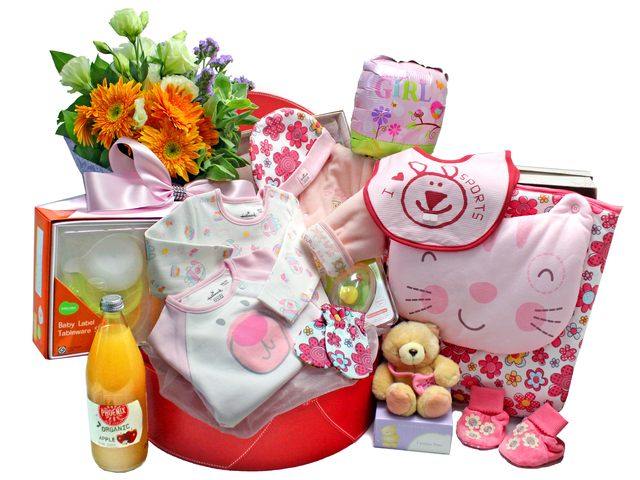 New Born Baby Gift - Hallmark Baby Deluxe Hamper B1 - L104047 Photo